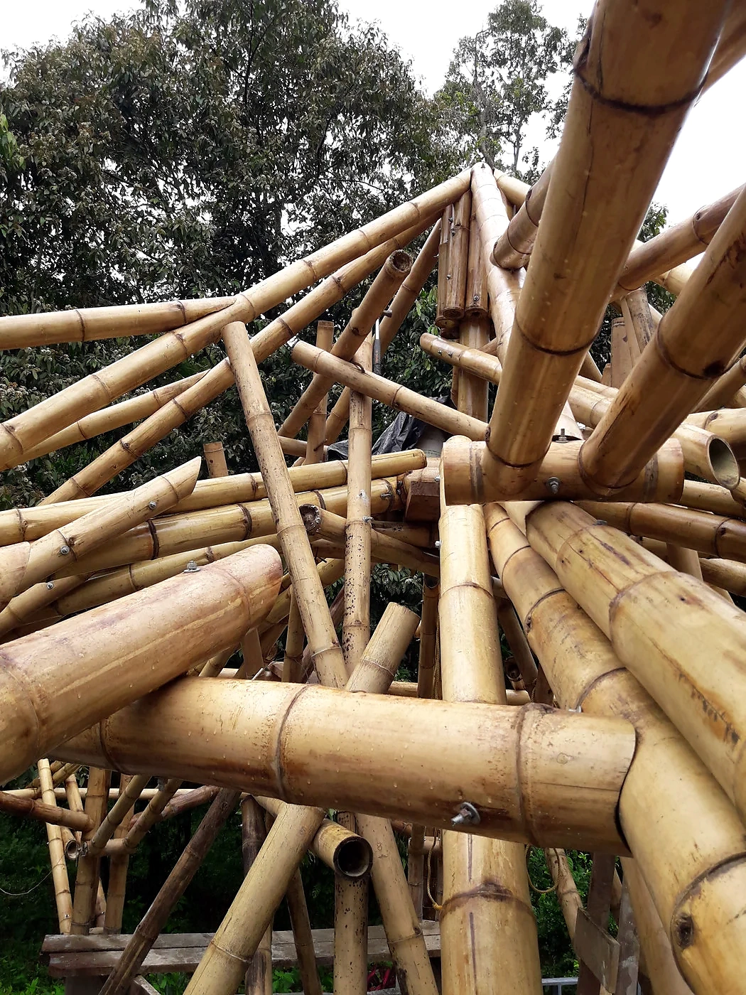 Detalle constructivo · Encuentro de culmos de guadua.
