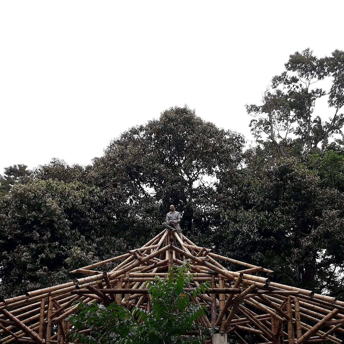 Estructura de cubierta · Geometría de los elementos de bambú.