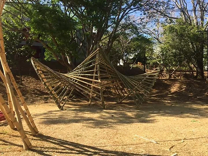 Geometrías regladas · Exploración estructural con bambú.