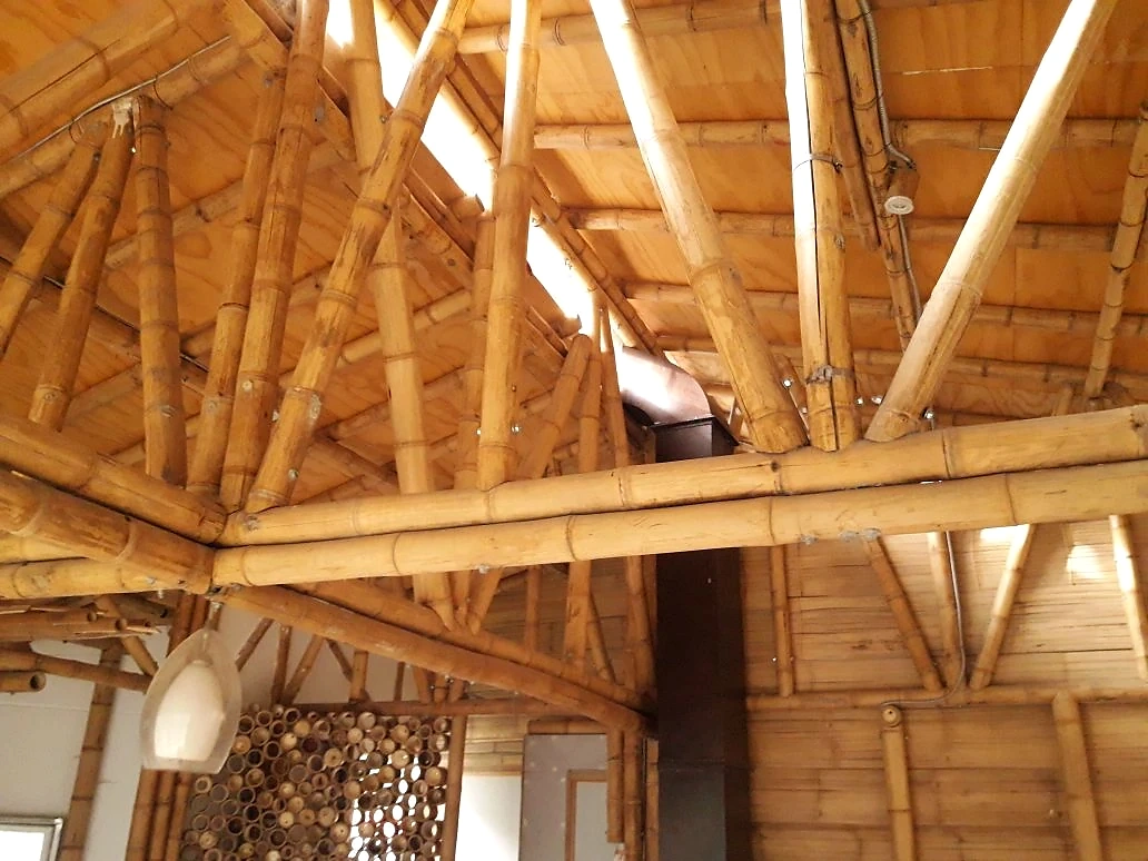 Interior · La geometría de la cubierta y la doble altura.